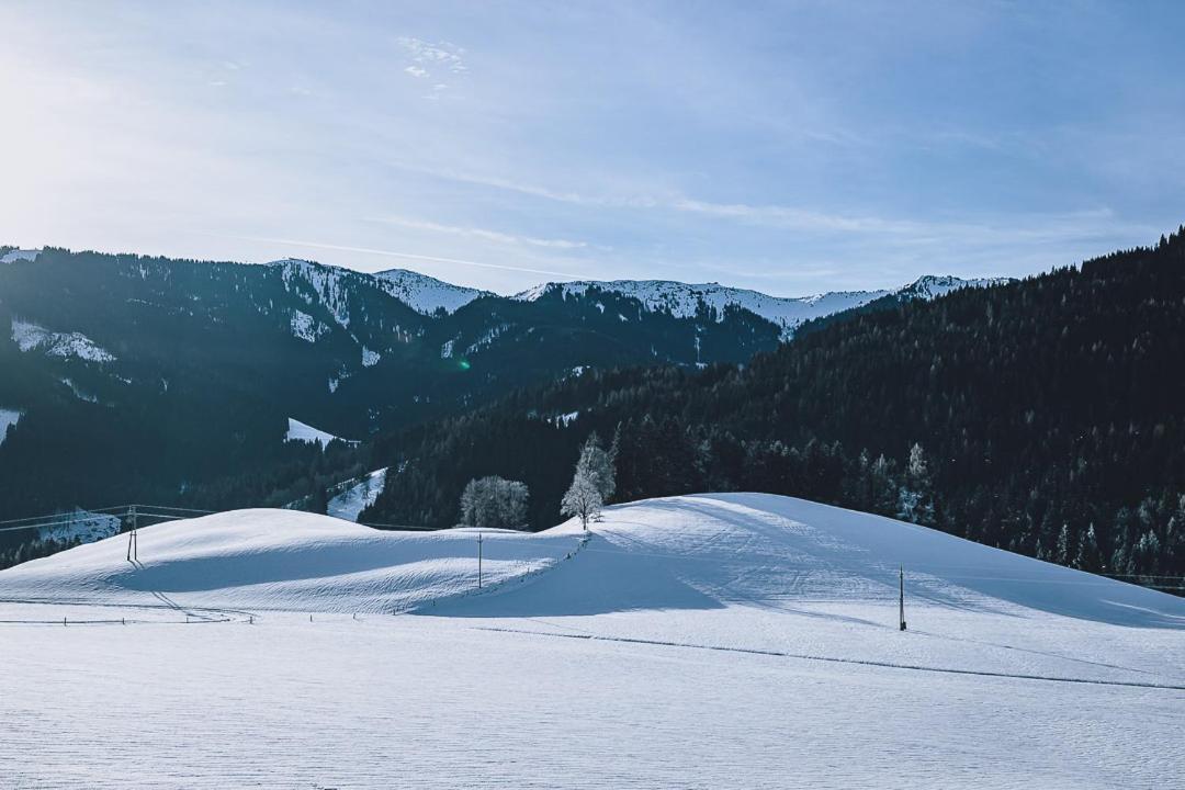 Appartement Adamhof Spielberg レオガング エクステリア 写真